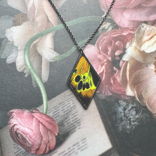 Rothschild's Birdwing Diamond - RARE