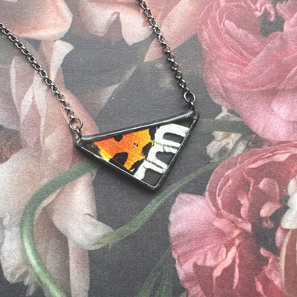 Rainbow Sunset Moth Small Triangle