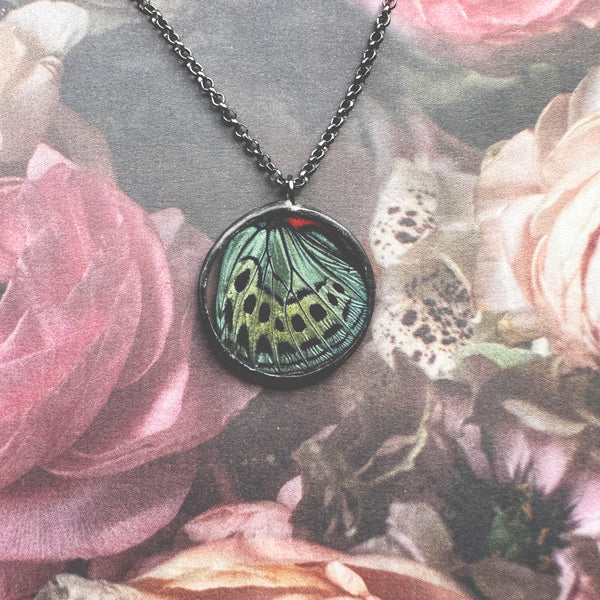 Asterope Optima Butterfly Circle Pendant