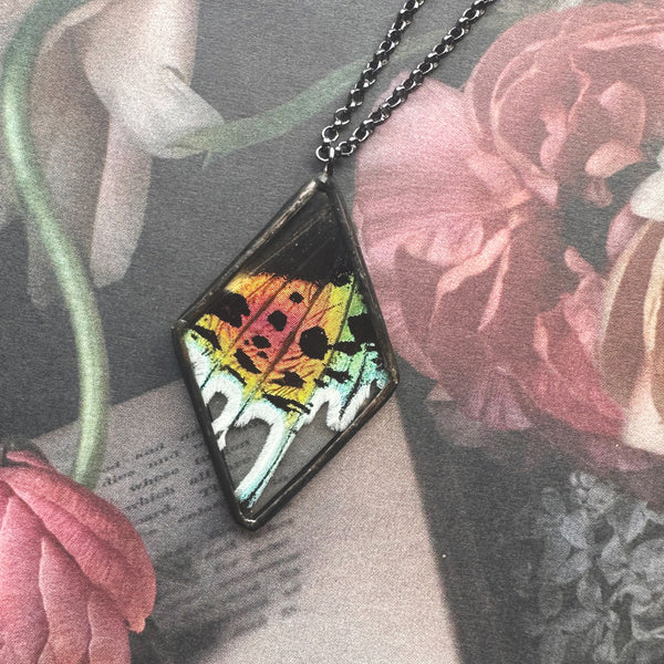 Rainbow Sunset Moth Diamond