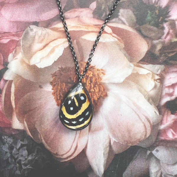 Callicore Teardrop