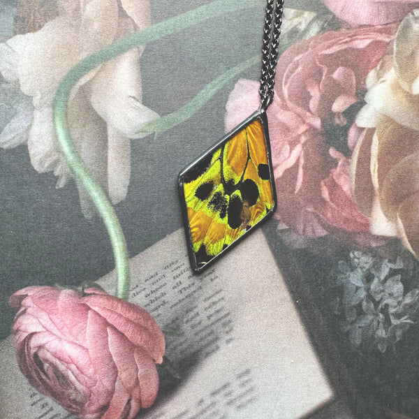 Rothschild's Birdwing Diamond - RARE