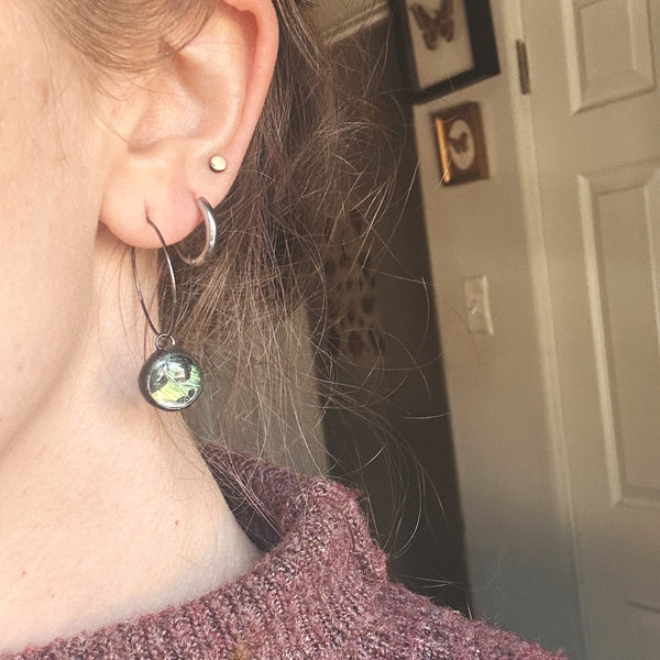 Green Sunset Moth Bevel Circle Hoops