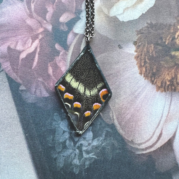 Peacock Swallowtail Medium Diamond