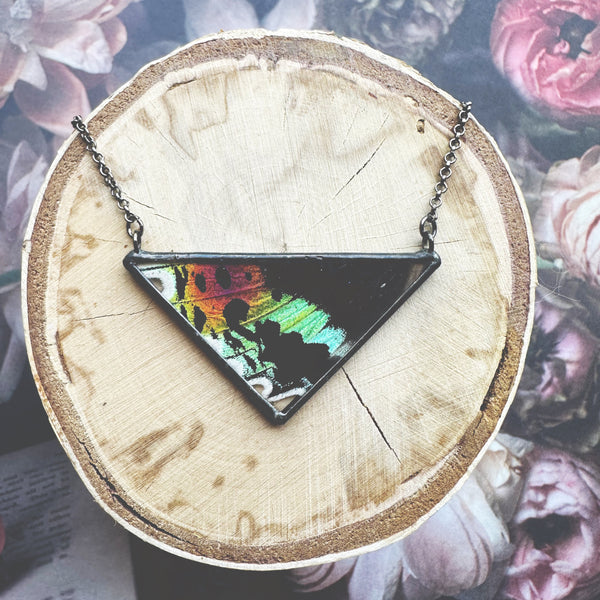 Large Rainbow Sunset Moth Triangle