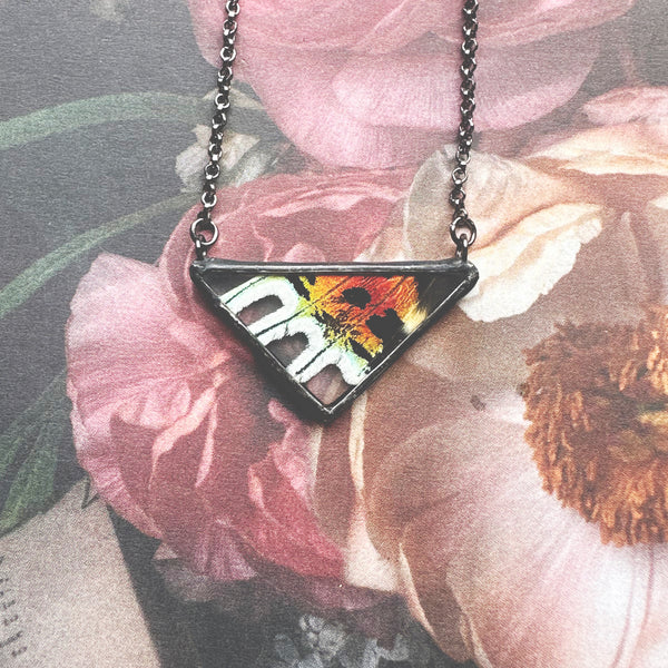 Rainbow Sunset Moth Small Triangle
