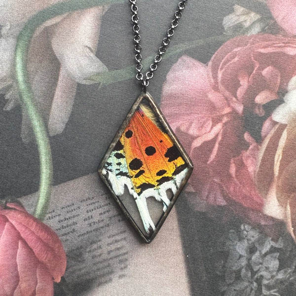 Rainbow Sunset Moth Diamond