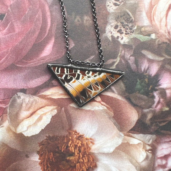 Charaxes Brutus Patterned Small Triangle