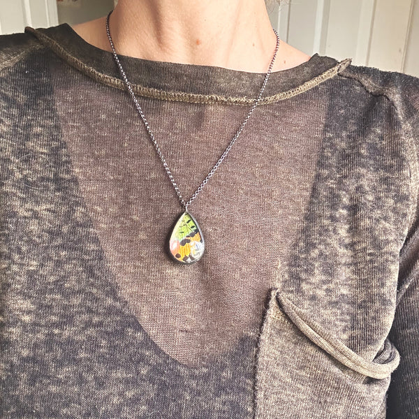 Larger Sunset Moth Rainbow Teardrop