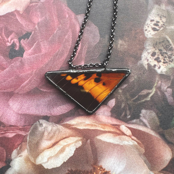 Charaxes Brutus Patterned Small Triangle
