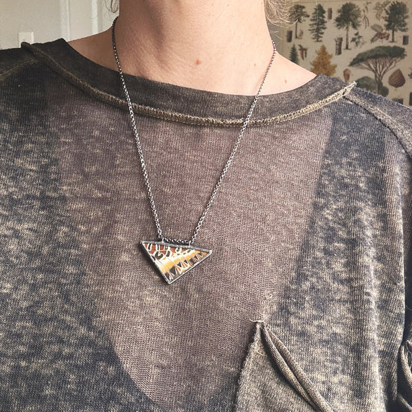 Charaxes Brutus Patterned Small Triangle