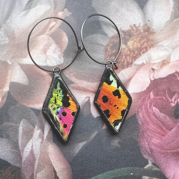 Rainbow Sunset Moth Diamond Hoop Earrings