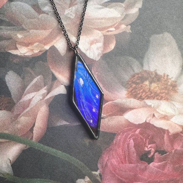 RARE Morpho Helena Narrow Diamond
