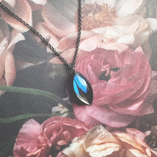 Blue Mountain Swallowtail - Mini Marquis Bevel Pendant
