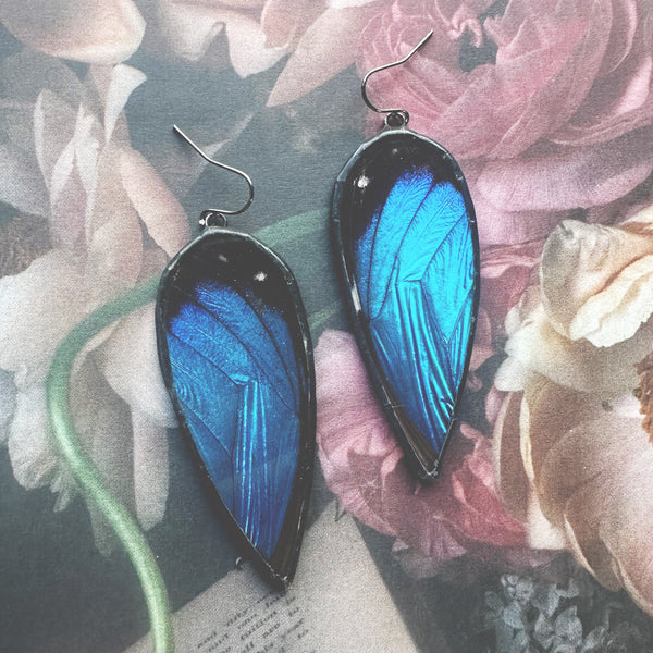 Large Teardrop Morpho Earrings