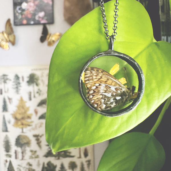 Mini 1” Garden Portal