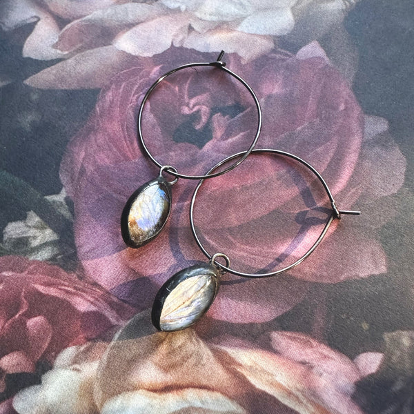 Mother of Pearl (Moonstone) Morpho Portis Mini Marquis Earrings