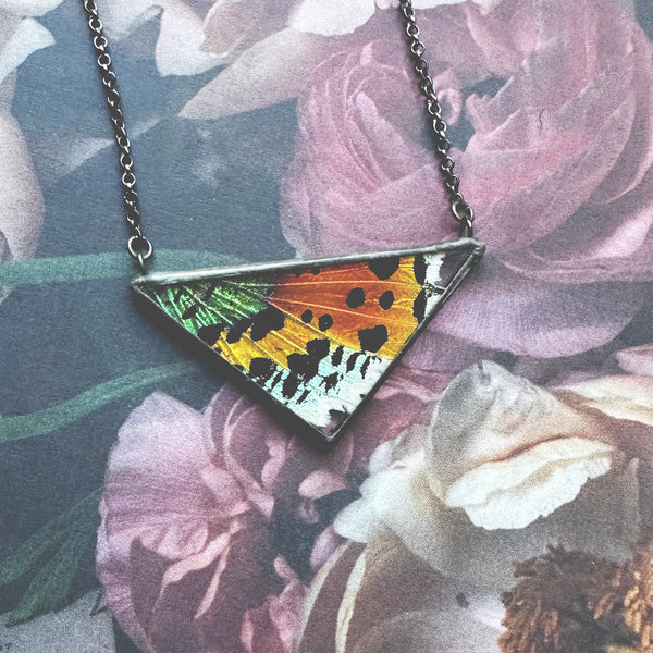 Large Rainbow Sunset Moth Triangle