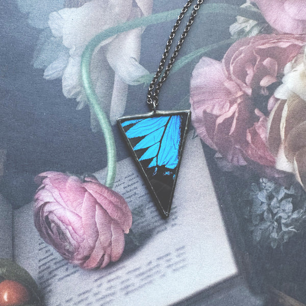 Blue Mountain Swallowtail Dagger Triangle