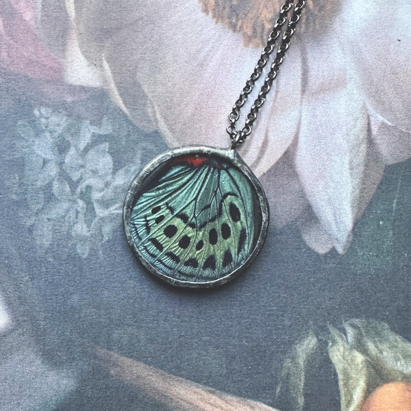 Asterope Optima Butterfly Circle Pendant