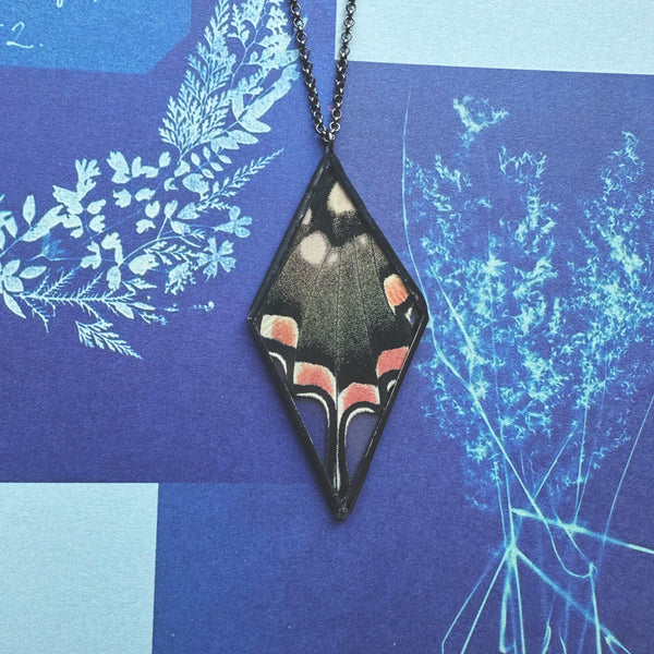 RARE Madagascar Giant Swallowtail Kite Diamond