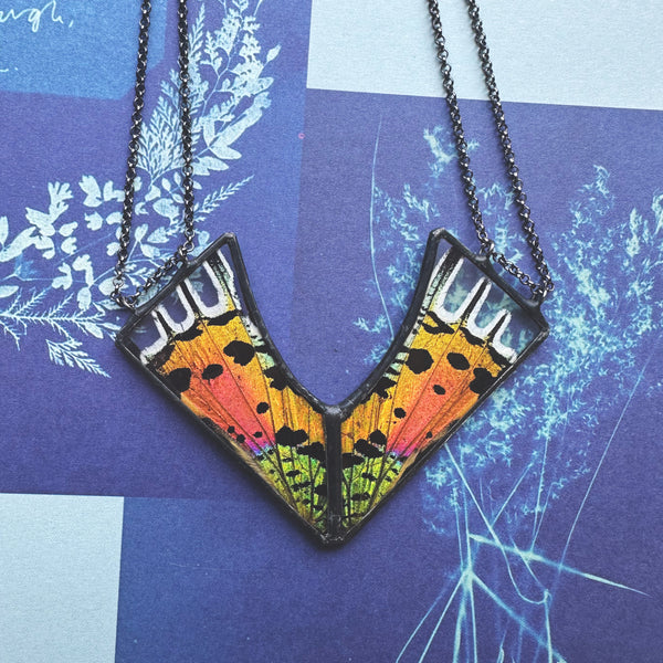 *New* Rainbow Sunset Moth Vexed Chevron