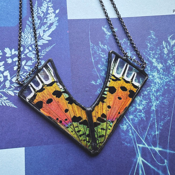 *New* Rainbow Sunset Moth Vexed Chevron