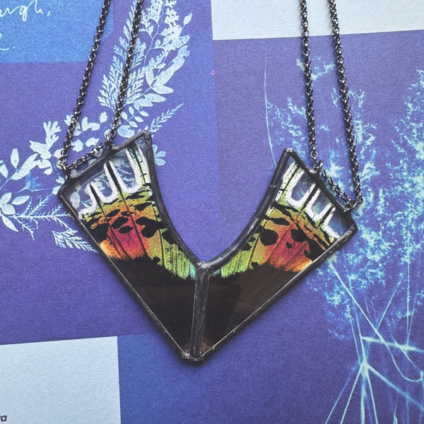 *New* Rainbow Sunset Moth Vexed Chevron