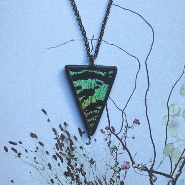 Sunset Moth Triangle