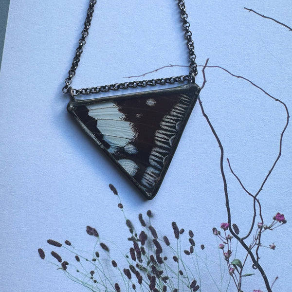 Siproeta Butterfly Triangle