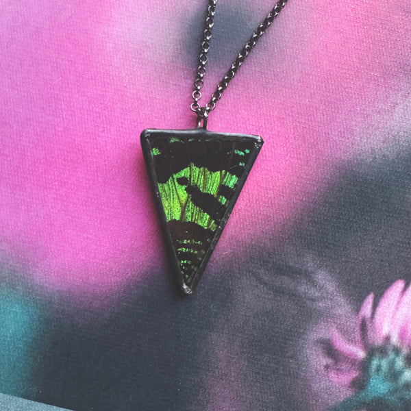 Sunset Moth Triangle