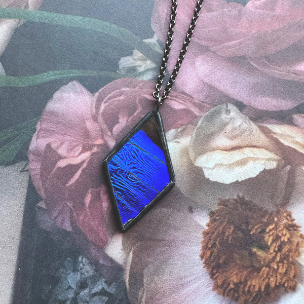 Morpho Rhetenor Diamond