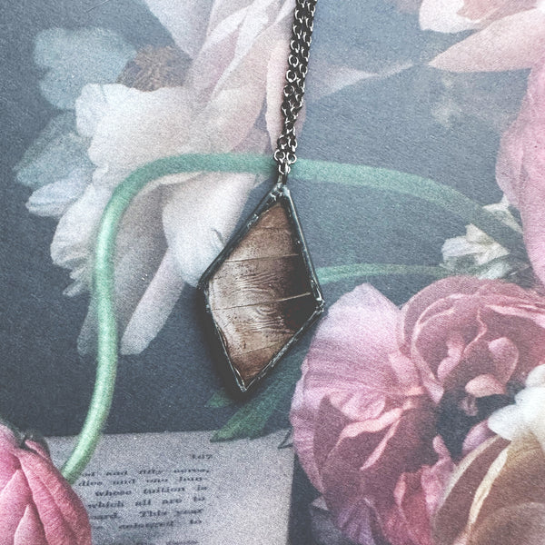 Morpho Rhetenor Diamond