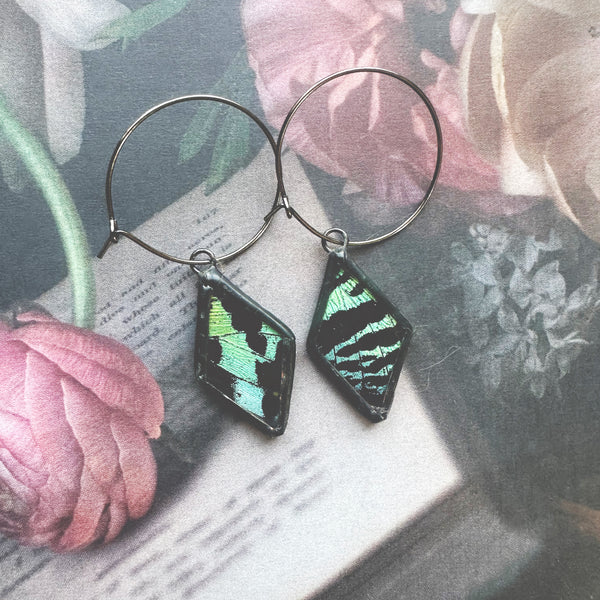 Green Sunset Moth Hoop Earrings