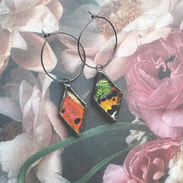 Rainbow Sunset Moth Hoop Earrings