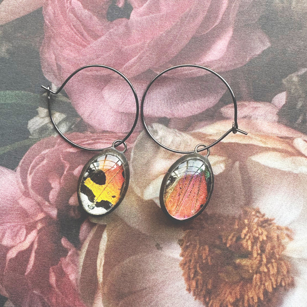 Rainbow Sunset Moth Dew Drop Hoop Earrings