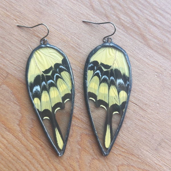 Giant Swallowtail Teardrop Earrings