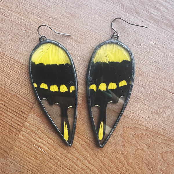 Giant Swallowtail Teardrop Earrings
