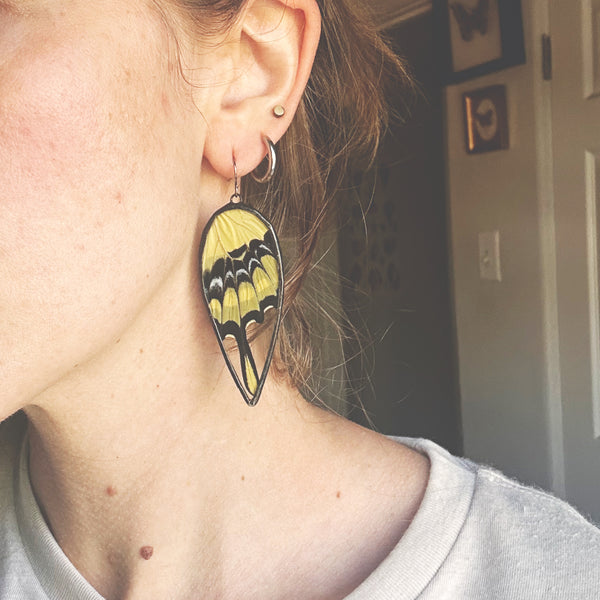 Giant Swallowtail Teardrop Earrings