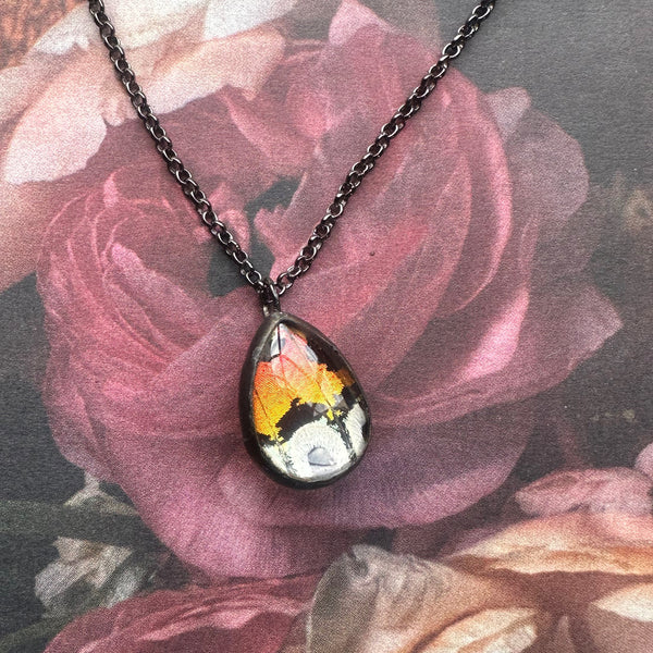 Mini Sunset Moth Rainbow Teardrop