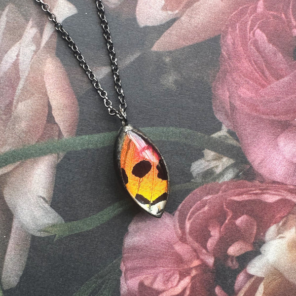 Rainbow Sunset Moth Marquis Bevel