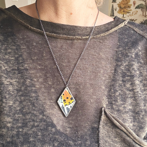 Rainbow Sunset Moth Diamond