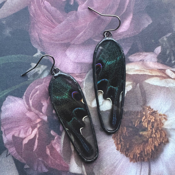 Peacock Swallowtail Long Oval Earrings