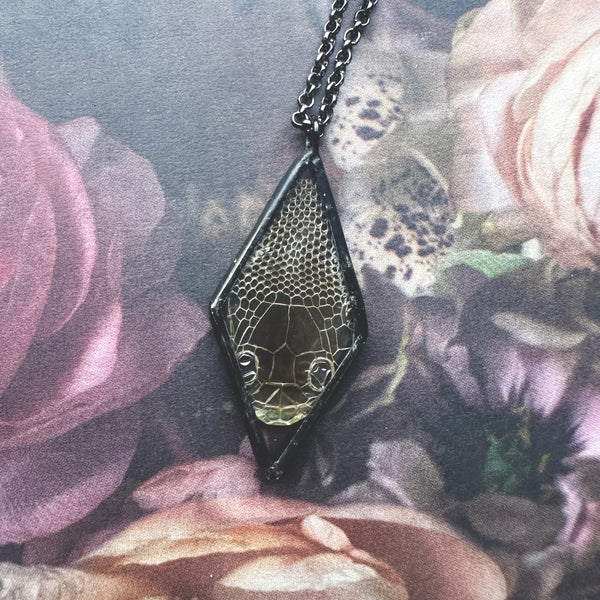 Corn Snake Head Shed Diamond