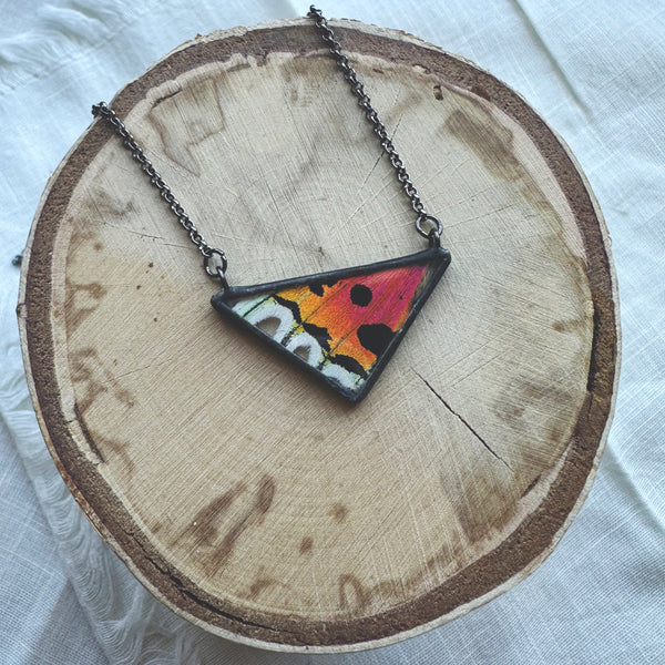 Small Rainbow Sunset Moth Triangle