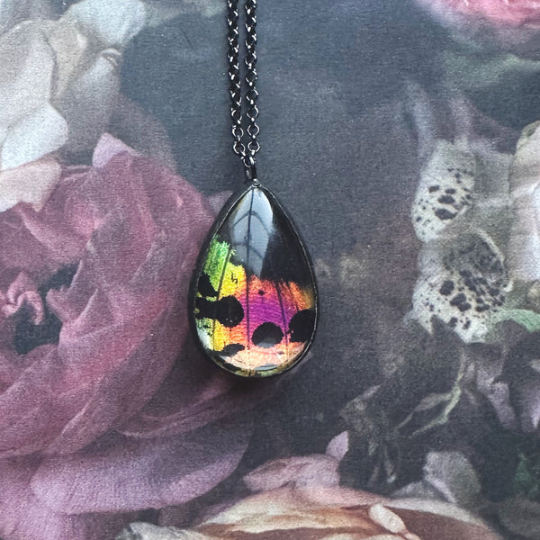 Rainbow Sunset Moth Larger Teardrop