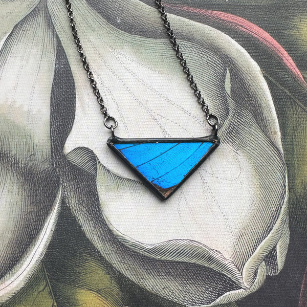 Small Morpho Butterfly Triangle