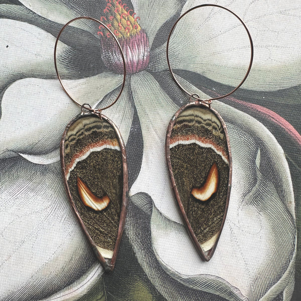 Antiqued Copper Teardrop Cecropia Moth Earrings