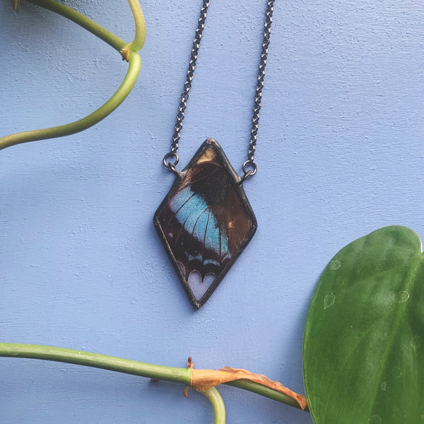 Amazon Beauty Diamond
