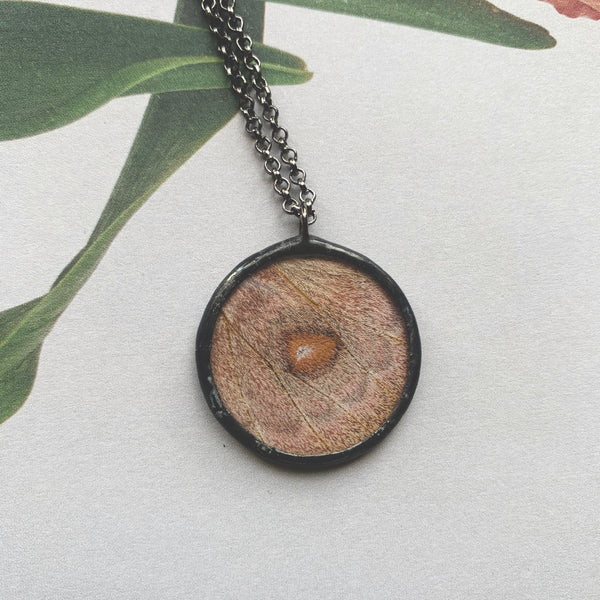 RARE- Madagascan Bullseye Moth Circle Pendant